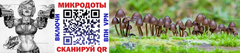 hydra маркетплейс  Нижняя Тура  Галлюциногенные грибы Psilocybe 